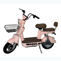 Vélo électrique économique à batterie au plomb pour seniors, cadre basse, roues de 14 pouces, E-Bike