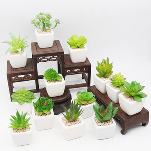 Commercio all'ingrosso casa decorativa per interni Mini plastica artificiale succulente piante da giardino piante grasse - Product Image 3