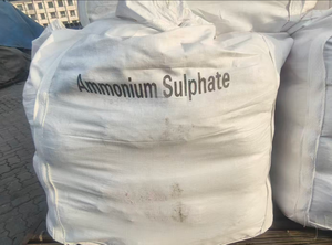 Nouvel engrais azoté au sulfate d'ammonium, double nutrition azote et soufre, effet rapide et stable, personnalisable, échantillon gratuit - Product Image 5