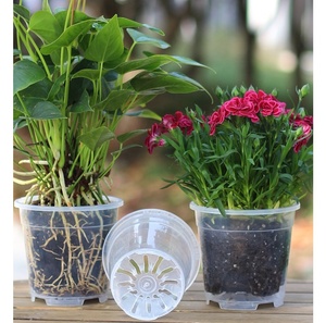 <span class=keywords><strong>Maceta</strong></span> <span class=keywords><strong>Transparente</strong></span> de PP Ecológica para Control de Raíces, Diseño de Orquídea Mariposa, para Hogar y Jardín - Product Image 5