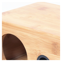 Boîtier de haut-parleur en bois de bambou de 3 pouces pour étagère, coque vide pour haut-parleur audio, boîtier DIY en bois pour haut-parleur