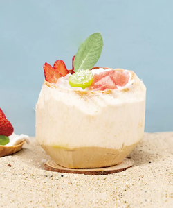 Distributore Delthin 1L crema al cocco dolce 1L crema all'olio di cocco biologico al Latte di cocco crudo - Product Image 4