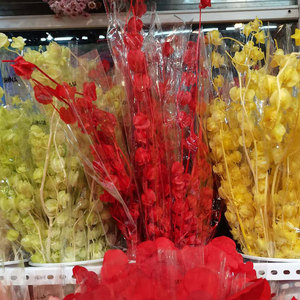 Wholesale Event Decorations Resin Art Real Natural Immortal <strong>Dried</strong> <strong>Plants</strong> and Preserved Flowers - Product Image 6