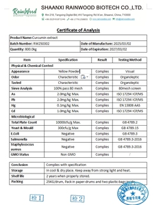 Poudre de curcumine Rainwood, extrait de racine de curcuma, poudre d'extrait de curcumine biologique à 95%, complément alimentaire, poudre de curcumine - Product Image 2