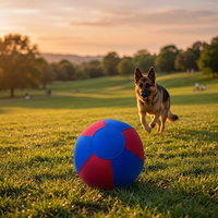 Ballon d'entraînement robuste anti-explosion 1680D/2520D de 18 et 25 pouces pour chiens, idéal pour le dressage et le herding
