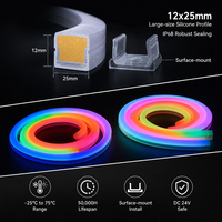 Ruban LED néon en silicone RGB personnalisé, étanche IP68, 24V -25~75 ° C for Stadium Hotel & Outdoor Facade FlexLinear
