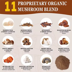 Integratori alimentari in polvere di caffè a fungo istantaneo organico OEM/ODM ricchi di funghi criniera di leone <span class=keywords><strong>Cordyceps</strong></span> Sinensis 10-in-1 - Product Image 4