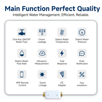Vanne d'eau intelligente WiFi, détection de la pression de l'eau, détection du débit, détection de la température, détection des fuites, détection à une touche