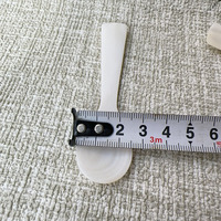 Großhandel 7cm 8cm 9cm 10cm Natürliche Perlmutt Luxus Elegante Kaviar-Löffel mit Anpassbarem Logo für Hochzeitsgeschenke