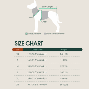 เสื้อชูชีพสุนัขพร้อมแถบสะท้อนแสงปรับได้ชุดว่ายน้ำสุนัขสำหรับสัตว์เลี้ยงลอยน้ำได้สูง - Product Image 6