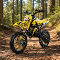 Moto tout-terrain pour enfants de 49 cm3 à 2 temps, à essence, démarrage manuel, mini moto cross, refroidissement par air, 25 MPH