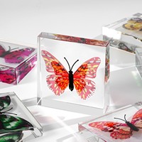 Bloc de spécimen de papillon en résine, presse-papiers insecte simulé, décoration de bureau, aide pédagogique scientifique, cadeau