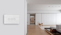 Interrupteur mural tactile double pôle en matériau PC, contrôleur de minuterie, relais 10A max 240V, double prise, double interrupteur, compatible Google Home et Alexa