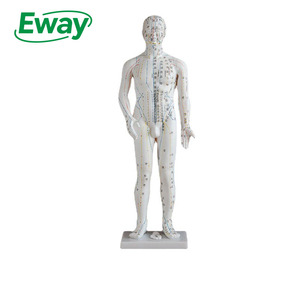 70cm Nam cơ thể con người điểm châm cứu mô hình kinh tuyến mô hình giảng dạy Mô Hình Tiếng Anh Hướng dẫn sử dụng mannequin - Product Image 1