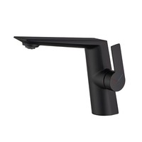 Robinet de bidet et de lavabo en acier inoxydable avec levier unique, chromé brillant pour salle de bain et chambre à coucher
