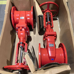 Válvula de Compuerta de Hierro Dúctil con Asiento Resiliente y Brida de 300 PSI, Aprobada por UL FM, para Sistemas de Protección Contra Incendios - Product Image 1