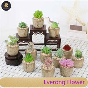 미니 인공 장식 홈 다육 식물 세트 분재 벌크 wiEV 라운드 냄비 - Product Image 4