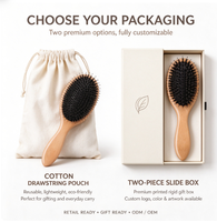 Brosse à cheveux démêlante à poils de sanglier avec manche en hêtre et logo personnalisé, peigne de massage à coussin d'air, peigne airbag