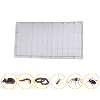 Feuille de colle de piège de souris de rat blanc en plastique