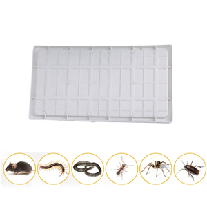 Feuille de colle de piège de <span class=keywords><strong>souris</strong></span> de rat blanc en plastique - Product Image 2