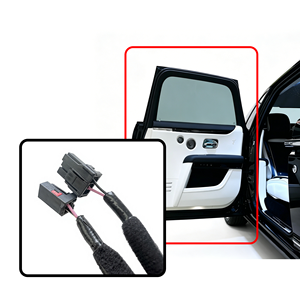 Terminal Kabel LS, Kabel Harness, Wiring Harness, ECU Harness, Kabel Rakitan Kustom, Wiring+Harness - Product Image 6