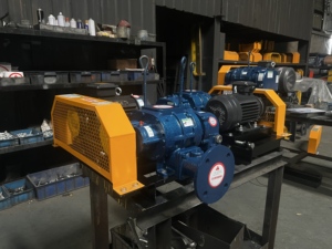 Équipement dédié 220V/380V pour le désulfuration et la dénitruration des gaz de combustion, l'aération et l'oxygénation - Souffleur Roots/Pompe Roots - Product Image 5