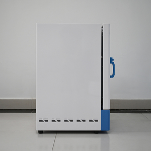 Nouvel appareil de séchage sous vide numérique en acier inoxydable 201 de Cedric China pour usage en laboratoire et hospitalier, fonctionnement automatique - Product Image 4
