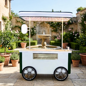 EGO Food Cart Electric Charge Mobile Stainless Steel Street Coffee Bike Cart Freezer Ice Cream Special transportation - Product Image 1