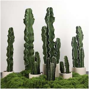 Grand Cactus Artificiel en Pot pour Bureau, Décoration d'Automne, Fleurs et Couronnes Décoratives, Vente en Gros - Product Image 1