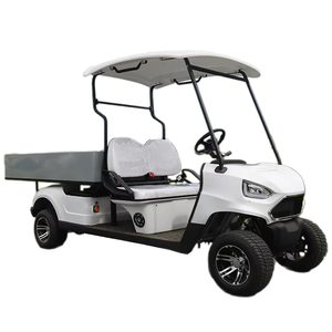 High Quality 2-Seater <b>Small</b> Electric Golf Cart with Rear Cargo Bed Excellent Value at a Good Price - Product Image 1