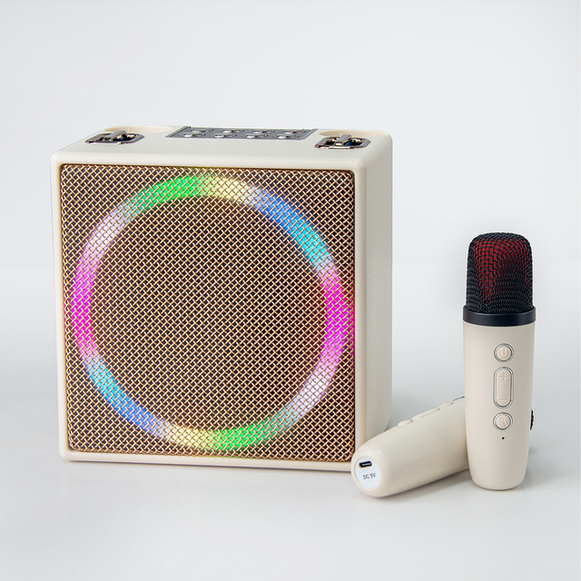 KENUO Adult Kids Home Family Party 10W Portable  Karaoke Speaker With 2 Wireless Microphone