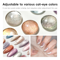 Gel UV Haute Transparence Effet Œil de Chat Sans HEMA Sans TPO Sans TMPTA Brillant Soyeux Longue Durée pour Salon