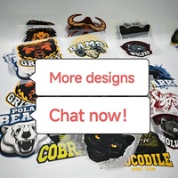 Étiquettes thermocollantes en vinyle et plastisol de haute qualité pour l'impression sur t-shirts, vêtements, chaussures, sacs, personnalisation