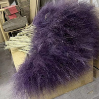 Broom Bloom Gedroogde Bloemen, Gedroogde Bloemenvulling voor Boho Bruiloft Boog, Tafeldecoratie, Bruidsboeket, Evenement Styling Decoratie