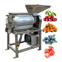 Roestvrijstalen Fruitpulpmachine Pulpmachine/Fruitpulper/Mangopulpmachine