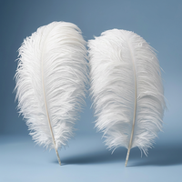 Longues plumes d'autruche naturelles multicolores, plumes de paon pour fête, carnaval, décors et mariages d'allemagne