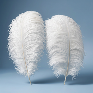 Plumas de Avestruz Naturales Largas Multicolores, Plumas de Pavo Real para Fiestas, Carnavales, Decoraciones y Bodas de Alemania - Product Image 2