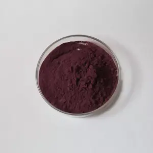 High Quality Black Wolfberry Fruit Powder Black Goji Berry Powder Black Wolfberry Extract