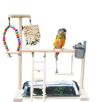 Support de jeu pour perroquet de table en bois, parcours d'activités pour oiseaux avec perchoir, échelle, balançoire, jouets et plateau-bol en acier inoxydable pour Conure, Cockatiel, Parakeet