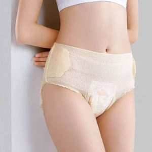 Shenghongda personalizado desechable transpirable algodón orgánico bragas menstruales Sexy período ropa interior para mujeres servilleta sanitaria - Product Image 1