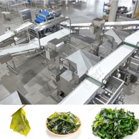 Machine multifonctionnelle LWT pour le traitement des légumes et des fruits, friteuse, pasteurisateur, équipement automatique à haute efficacité pour les algues Wakame