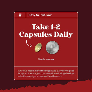 GMP chứng nhận Hoang Dã Icelandic cá tuyết gan dầu Omega 3 EPA DHA Vitamin một D3 100 Mini Softgels - Product Image 3