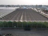Panneaux de serre en polycarbonate de haute qualité-protégés contre les UV, résistants aux intempéries, transparents, durables pour l'agriculture et l'utilisation commerciale