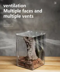 Kertenkele böcekler örümcekler ve diğer taşıyıcı türler için şeffaf akrilik Amphibian ve sürüngen üreme kafesi - Product Image 4