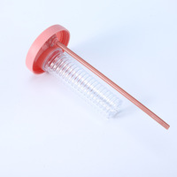 Bouteilles d'eau en plastique en vrac de 28oz Sippy avec long infuseur au citron et aux fruits