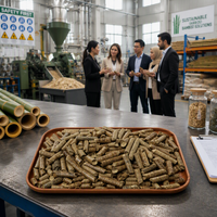 Granulés de biomasse sans fumée à faible teneur en cendres et en humidité, à prix compétitif et à valeur chromatique élevée, vente en gros directe usine