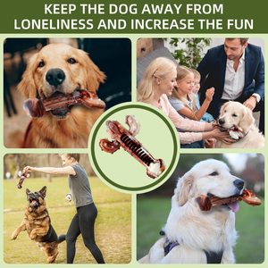 Naylon sessiz çiğnemek kaktüs şekli yıkılmaz köpek oyuncak agresif Chewer sığır lezzet aşınmaya dayanıklı ve ısırık dayanıklı köpek oyuncak - Product Image 5