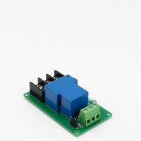 Mini-relais statique miniature scellé 30A à un canal, 12V CC, isolé par optocoupleur, prend en charge le déclenchement par niveaux haut/bas pour la maison intelligente