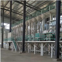 Ligne de production de riz completement automatisée pour l'agriculture : machines de nettoyage, de déstonage et de polissage du riz