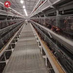 סוללה תרנגולות מטילות אוטומטי עוף ביצת שכבה כלובי coops 4 קומות